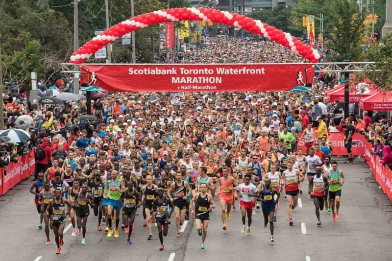 Results Toronto Waterfront Marathon 2022 Watch Athletics